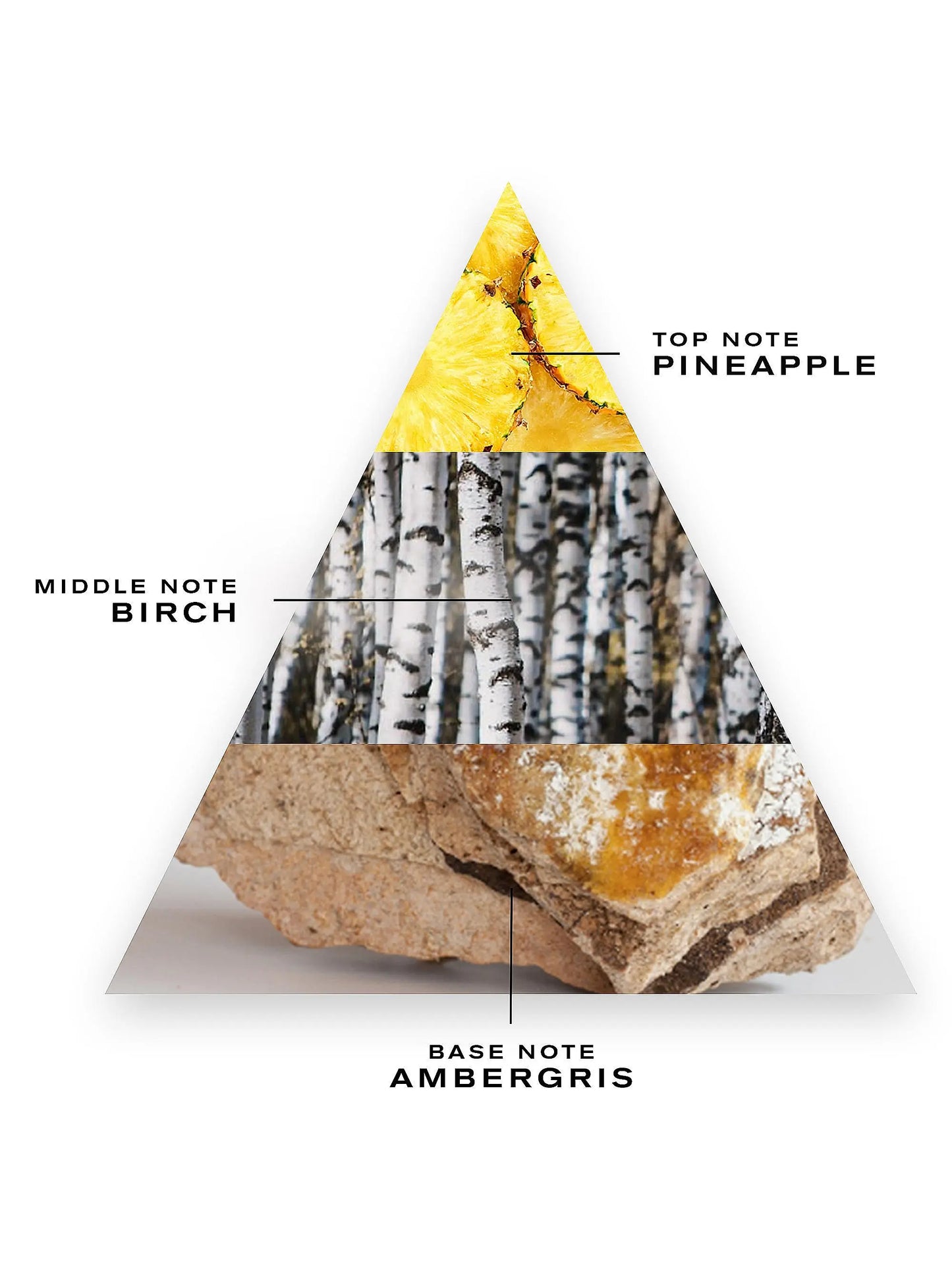 Creed Aventus Eau de Parfum